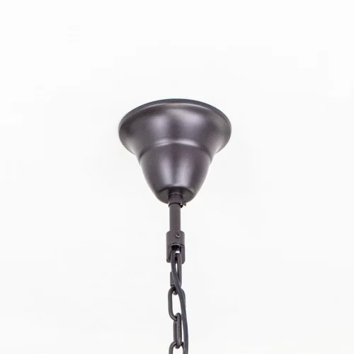 Люстра подвесная Мартин CL332161 Citilux прозрачная на 16 ламп, основание венге коричневое в стиле классический современный  фото 8