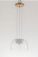 Светильник подвесной LED Narbolia L 1.P5 CL Arti Lampadari прозрачный 1 лампа, основание золотое в стиле хай-тек современный 