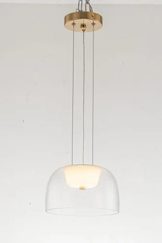 Светильник подвесной LED Narbolia L 1.P5 CL Arti Lampadari прозрачный 1 лампа, основание золотое в стиле хай-тек современный  фото 3