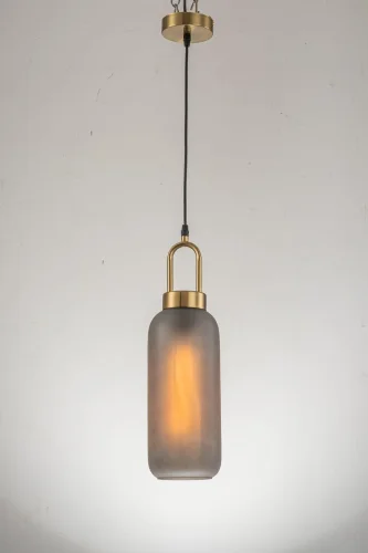 Светильник подвесной Narzole E 1.P2 CL Arti Lampadari серый 1 лампа, основание золотое в стиле современный  фото 3