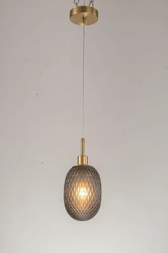 Светильник подвесной Magliano E 1.P2 S Arti Lampadari серый 1 лампа, основание золотое в стиле современный  фото 3