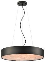 Светильник подвесной LED Edera WE510.01.723 Wertmark чёрный 1 лампа, основание чёрное в стиле современный 