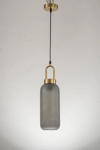 Светильник подвесной Narzole E 1.P2 CL Arti Lampadari серый 1 лампа, основание золотое в стиле современный 