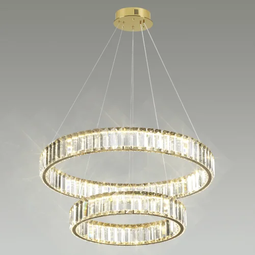 Люстра подвесная LED Vekia 5015/60L Odeon Light прозрачная на 1 лампа, основание золотое в стиле современный кольца фото 4