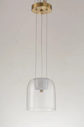 Светильник подвесной LED Narbolia L 1.P6 CL Arti Lampadari прозрачный 1 лампа, основание золотое в стиле хай-тек современный 