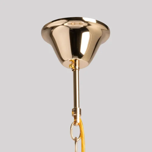 Люстра подвесная Патриция 447012806 MW-Light прозрачная на 6 ламп, основание золотое в стиле современный флористика  фото 10