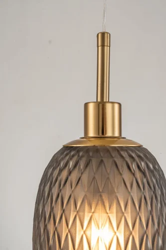 Светильник подвесной Magliano E 1.P2 S Arti Lampadari серый 1 лампа, основание золотое в стиле современный  фото 2