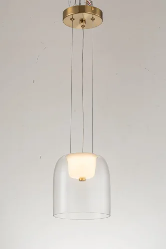 Светильник подвесной LED Narbolia L 1.P6 CL Arti Lampadari прозрачный 1 лампа, основание золотое в стиле хай-тек современный  фото 3
