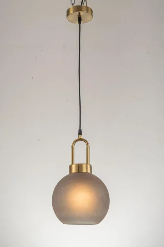 Светильник подвесной Narzole E 1.P1 CL Arti Lampadari серый 1 лампа, основание золотое в стиле современный  фото 2