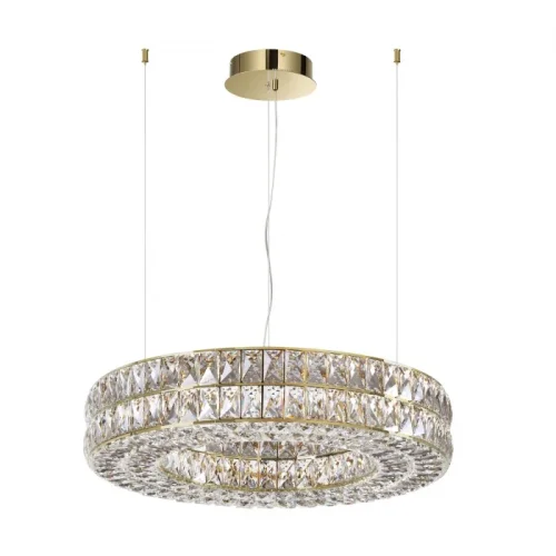 Люстра подвесная LED Panta 4926/85L Odeon Light прозрачная на 1 лампа, основание золотое в стиле современный кольца