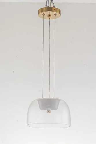 Светильник подвесной LED Narbolia L 1.P5 CL Arti Lampadari прозрачный 1 лампа, основание золотое в стиле хай-тек современный 
