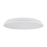 Светильник потолочный LED Brim 10226 White LOFT IT белый 1 лампа, основание белое в стиле современный 