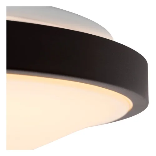 Светильник потолочный LED Dasher 79110/35/30 Lucide белый 1 лампа, основание чёрное в стиле современный  фото 4