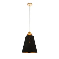 Светильник подвесной Rionfo SL1137.203.01 Evoluce чёрный 1 лампа, основание золотое в стиле классический 