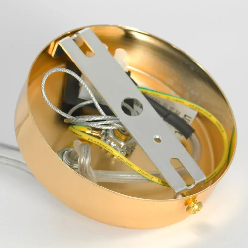 Люстра подвесная Davie LSP-8777 Lussole прозрачная на 8 ламп, основание золотое в стиле флористика современный ветви фото 5